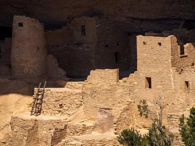 A wooden ladder leads up to ancient cliff dwelling structures.